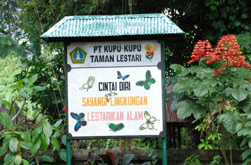 The entrance board of the butterfly Park, \'Kupu-kupu\' which means butterflies.