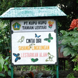 The entrance board of the butterfly Park, \'Kupu-kupu\' which means butterflies.